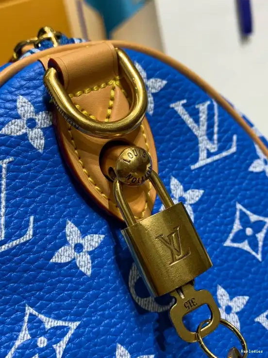 Cheap Louis 25 Vuitton SPEEDY 0531